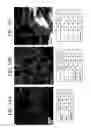 Fig. 17 - Alloy catalyst compositions and processes for making and using same