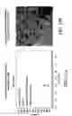 Fig. 18 - Alloy catalyst compositions and processes for making and using same