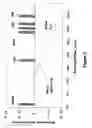 Fig. 03 - Method to determine state of a cell exchanging metabolites with a fluid medium by analyzing the metabolites in the fluid medium