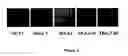 Fig. 04 - Human embryonic stem cell clones