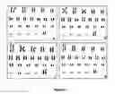 Fig. 06 - Human embryonic stem cell clones
