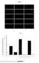 Fig. 10 - Human embryonic stem cell clones