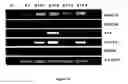 Fig. 13 - Human embryonic stem cell clones