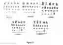 Fig. 14 - Human embryonic stem cell clones