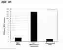 Fig. 26 - Novel cellular function regulating agent produced by a chondrocyte capable of hypertrophication