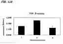 Fig. 27 - Novel cellular function regulating agent produced by a chondrocyte capable of hypertrophication