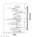Fig. 03 - Method and device for the characterization of interactions between different species