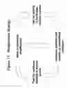 Fig. 12 - RNA interference mediated inhibition of gene expression using short interfering nucleic acid (siNA)