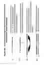 Fig. 15 - RNA interference mediated inhibition of gene expression using short interfering nucleic acid (siNA)