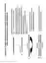 Fig. 19 - RNA interference mediated inhibition of gene expression using short interfering nucleic acid (siNA)