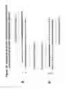 Fig. 20 - RNA interference mediated inhibition of gene expression using short interfering nucleic acid (siNA)