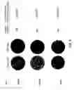Fig. 07 - Development of influenza A antivirals
