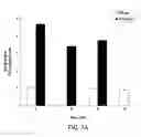 Fig. 08 - Development of influenza A antivirals