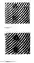 Fig. 04 - Multiple-property composite beads and preparation and use thereof