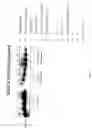Fig. 05 - Secreted protein factor and cell membrane-bound splice variant
