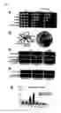 Fig. 06 - Centromeric protein shugoshin