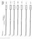 Fig. 07 - Growth differentiation factor promoter and uses therefor