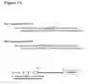 Fig. 09 - Growth differentiation factor promoter and uses therefor