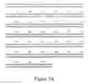 Fig. 12 - Growth differentiation factor promoter and uses therefor