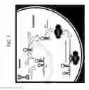 Fig. 02 - Methods and compositions involving microRNA