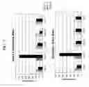 Fig. 10 - Methods and compositions involving microRNA