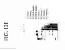 Fig. 19 - Methods and compositions involving microRNA