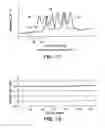 Fig. 08 - Methods and compositions for mutation analysis