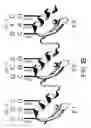 Fig. 03 - Nucleic acid binding proteins