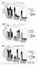 Fig. 07 - Nucleic acid binding proteins