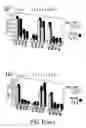 Fig. 08 - Nucleic acid binding proteins
