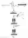 Fig. 02 - Detection of nucleic acids from whole blood