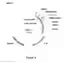 Fig. 09 - Method for gene identification signature (GIS) analysis