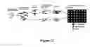 Fig. 15 - Method for gene identification signature (GIS) analysis