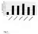 Fig. 02 - Bob-1 specific T cells and methods to use