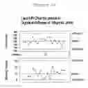 Fig. 16 - Method for determining ink usage efficiency in commercial printing processes using pigments and quantitative tests