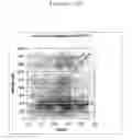 Fig. 20 - Method for determining ink usage efficiency in commercial printing processes using pigments and quantitative tests