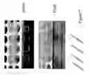 Fig. 06 - Compositions for separation of a plurality of distinct targets from a sample
