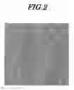 Fig. 07 - METHOD OF FORMING PAD OF SEMICONDUCTOR DEVICE