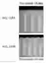 Fig. 83 - Back-to-front via process