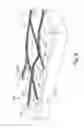 Fig. 09 - Nanoscopic wired-based devices and arrays