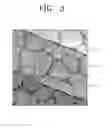 Fig. 06 - Two Dimensional Nanostructure Fabrication Method and Two Dimensional Nanostructure Fabricated Therefrom