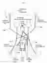 Fig. 05 - Vacuum assisted wall climbing toy
