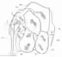 Fig. 01 - CONFIGURABLE STUFFED TOY HAVING ADJUSTABLE APPENDAGES