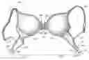 Fig. 01 - Brassiere Assembly with Different Cup Sizes