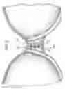 Fig. 04 - Brassiere Assembly with Different Cup Sizes