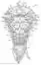Fig. 01 - Lacrosse head netting with a shallow pocket