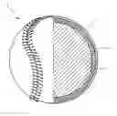 Fig. 01 - Softball