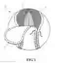 Fig. 03 - Softball