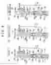 Fig. 09 - Hydraulic control apparatus for a multi-stage automatic transmission