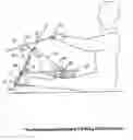 Fig. 01 - Stretch pal exercise set